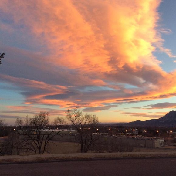 Meet your Posher, Sarah - Picture 1 of 1